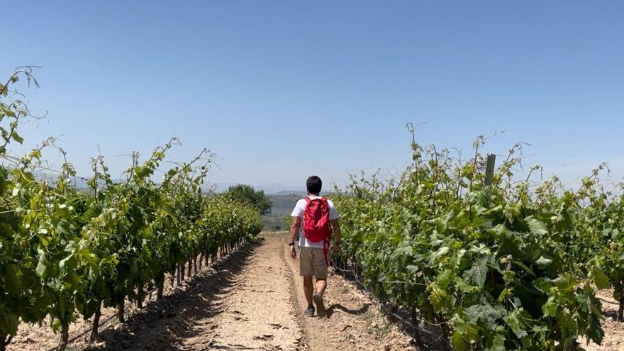 El primer tramo pasa por unir Oion con Laguardia