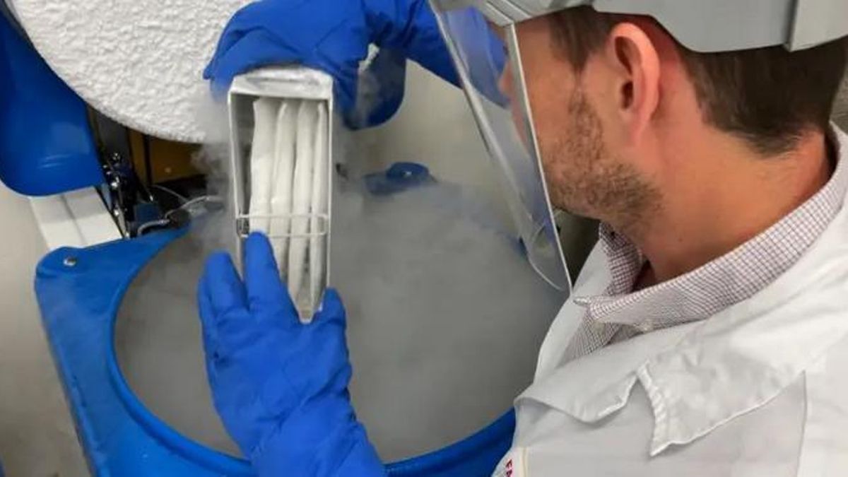 El SAS inicia la compra de un medicamento de vanguardia contra el mieloma múltiple que se suministrará en el Reina Sofía