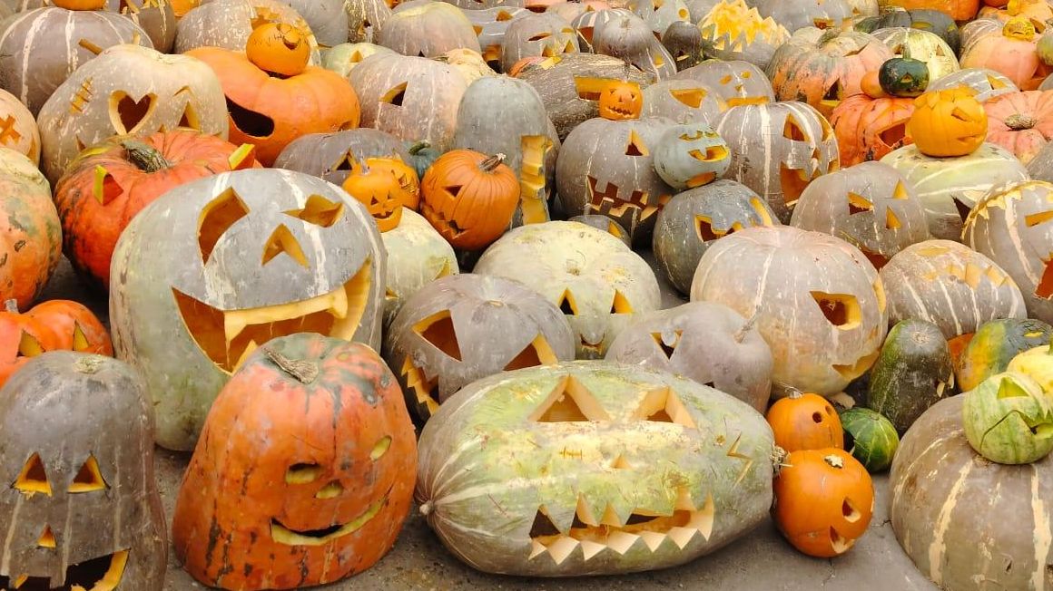 Esto sí que da miedo: Halloween deja un rastro enorme de calabazas desperdiciadas que podrían alimentar a millones de personas