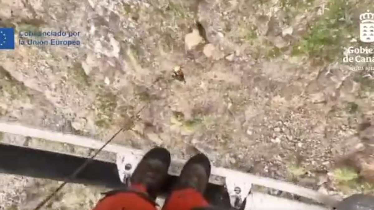 En estado crítico una senderista tras precipitarse "de forma accidental" por un acantilado en Tenerife