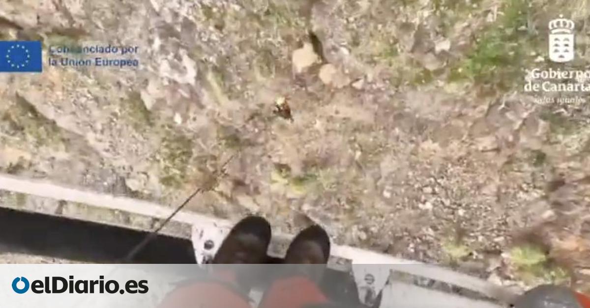 En estado crítico una senderista tras precipitarse de forma accidental por un acantilado en Tenerife
