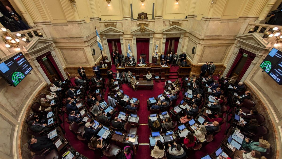 El Senado inició a las 11.15 la sesión en la que rechazará el veto a la emergencia en Discapacidad, además de debatir y buscar aprobar modificaciones en la legislación de los decretos.