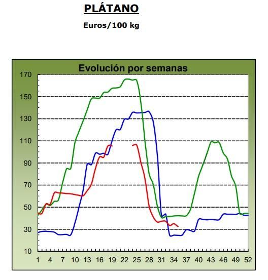 Evolución de los precios medios percibidos por el platanero canario en 2024 (marca azul), 2025 (verde) y 2026 (roja, hasta la semana 35). Fuente: MAPA.