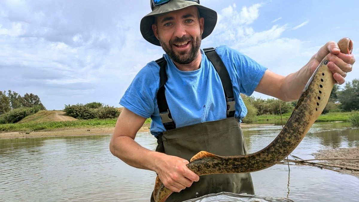 Un equipo científico de la Estación Biológica de Doñana captura una lamprea marina en la Rivera de Huelva.
