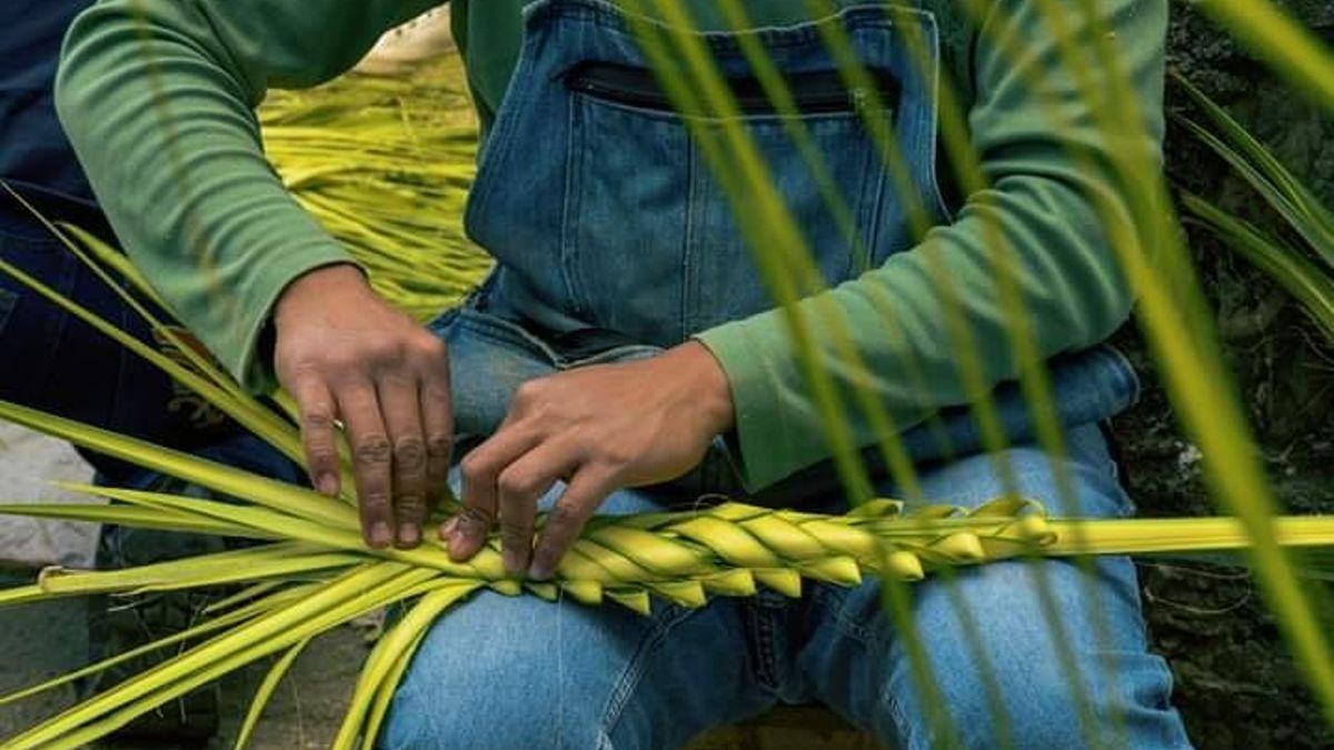 Los tipos de Palma que se pueden encontrar en Domingo de Ramos -y qué representa cada uno-
