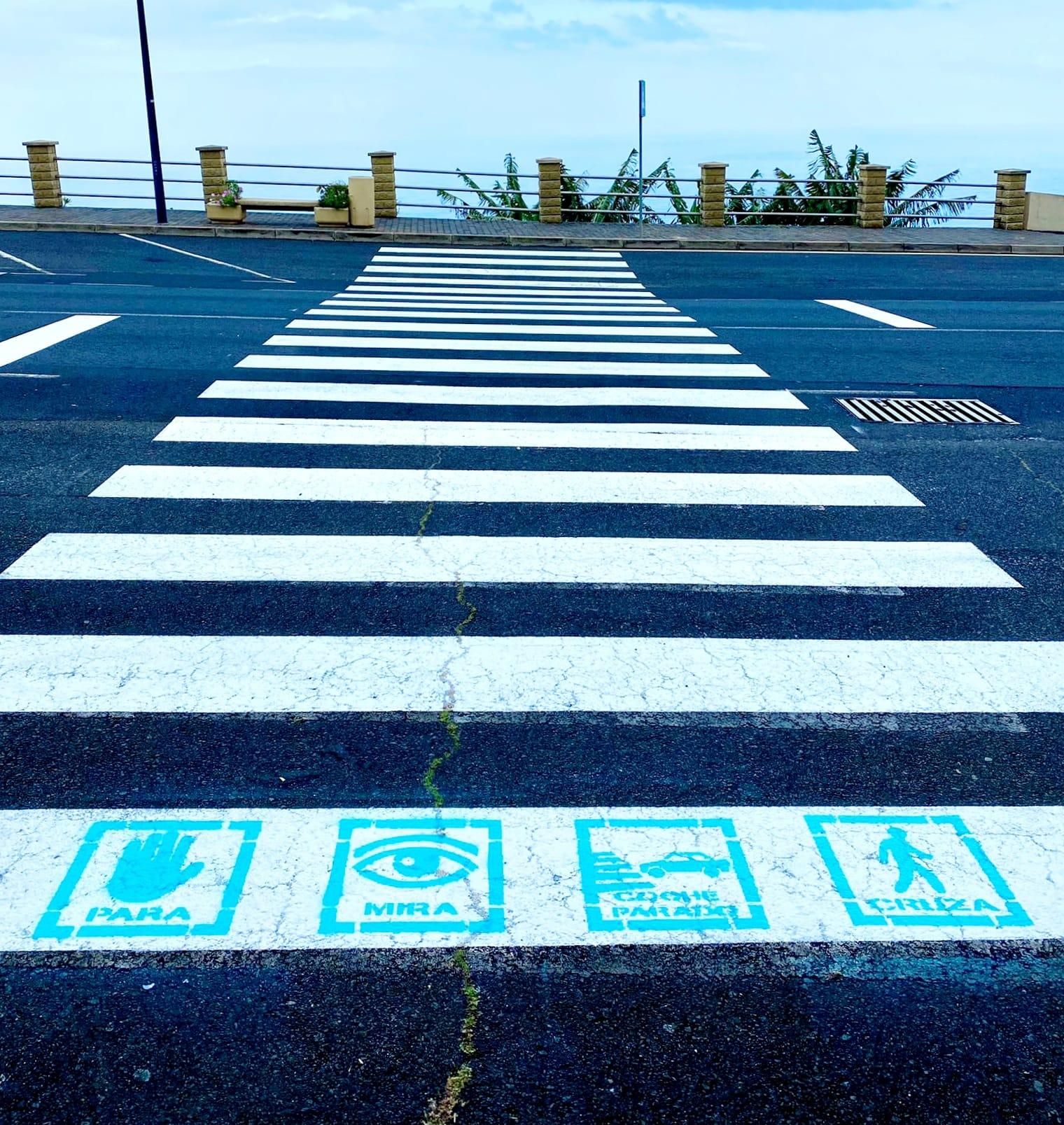 Paso de peatones con los pictogramas.