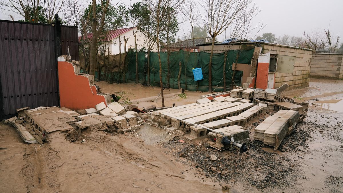 El lodo y el barro, dentro de las parcelas de las calles Perdiz y La Tórtola, tras las inundaciones.