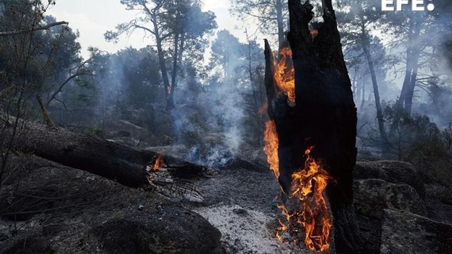 Última hora de los incendios | La UME informa de que el perímetro del incendio de Madrid y Ávila "está contenido" y espera rebajar hoy su intensidad