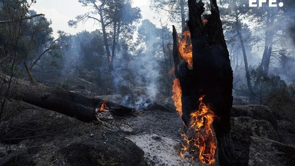 Zonas quemadas en los alrededores de el embalse de El Burguillo por el incendio que se originó en Burgohondo, en la provincia española de Ávila.