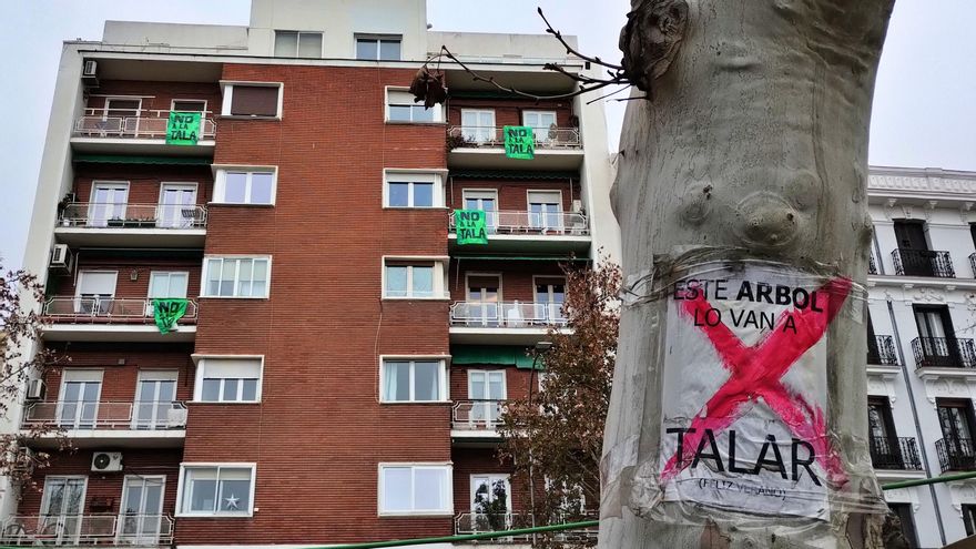 El Ministerio de Cultura pide por carta a Ayuso y Almeida que detengan las talas en la zona de Madrid protegida por la Unesco