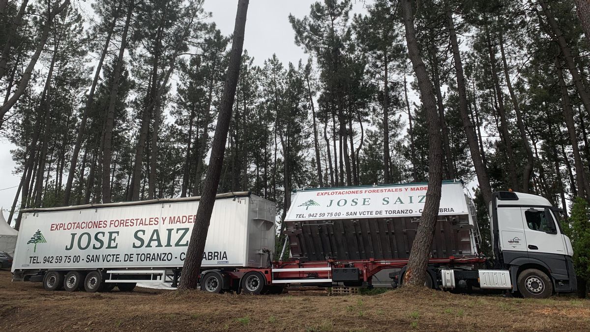 Ecologistas en Acción exige aplicar la sentencia del TSJC que obliga al cese de actividad de una empresa maderera de Corvera de Toranzo