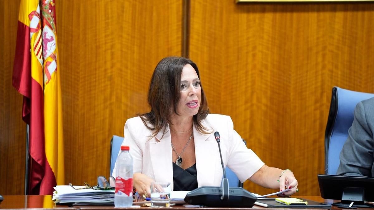 La consejera de Vivienda, Juventud y Ordenación del Territorio, Rocío Díaz, en comisión parlamentaria.