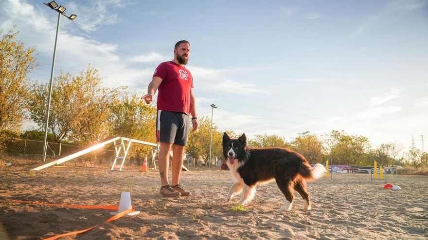 Zizou, un campeón de la obediencia y ejemplo del adiestramiento canino