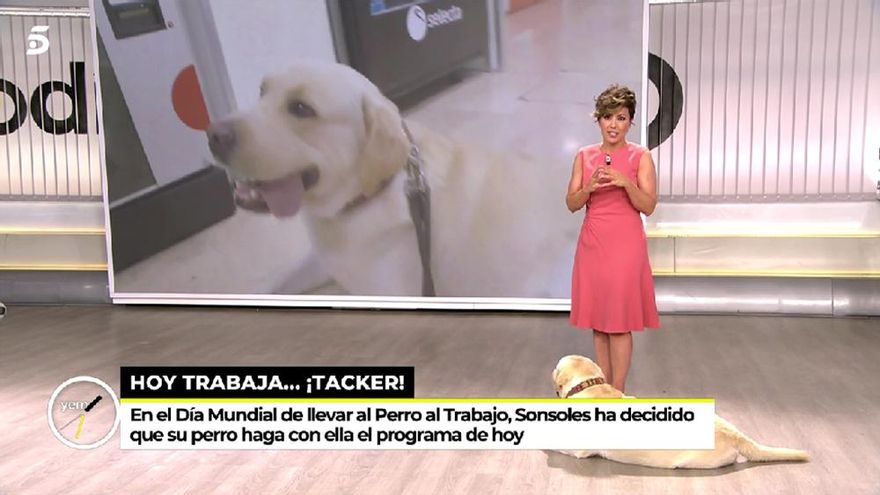 Sonsoles Ónega presenta 'Ya es mediodía' con su perro en plató: "Voy a hacer el mejor programa en cuatro años"