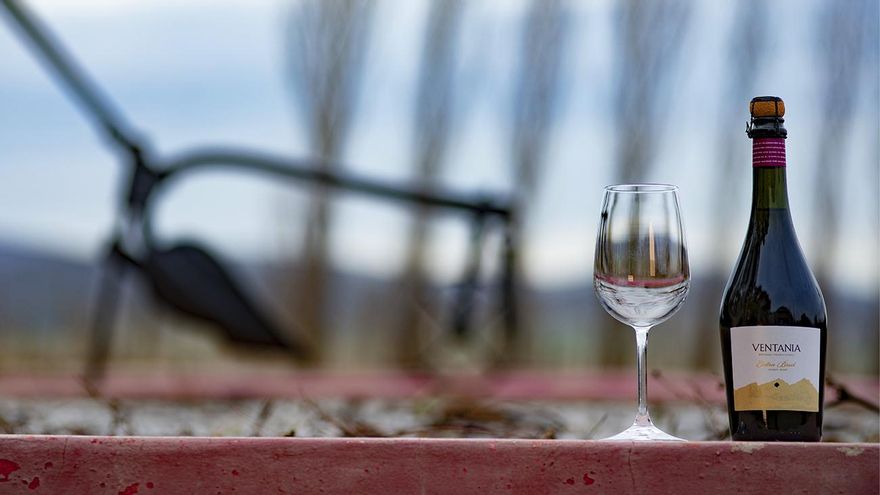 En Tornquist se encuentra la Bodega Saldungaray