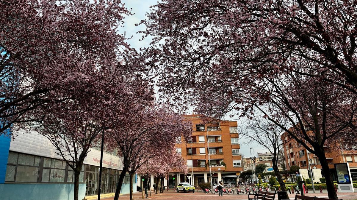Jueves en La Rioja: nubes y temperaturas más altas