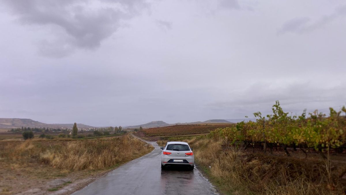 Cuatro heridos tras atropellar a un jabalí en el camino de Azofra a Hormilla