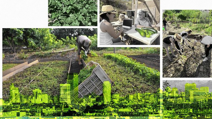 Huertos urbanos contra la hostilidad del asfalto: "Nos reconectan con el proceso de producción de alimentos"
