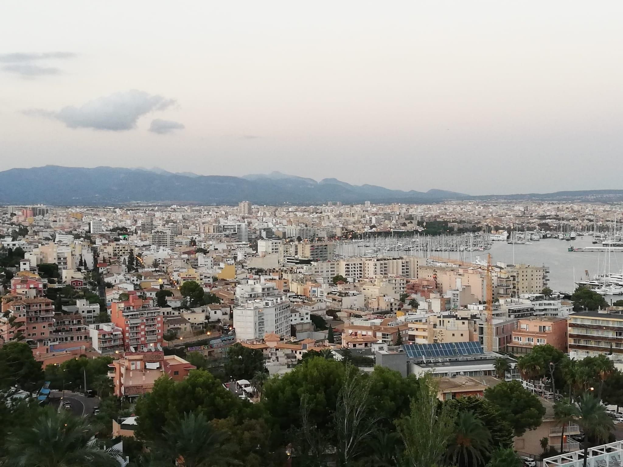 Bloques de pisos en Palma