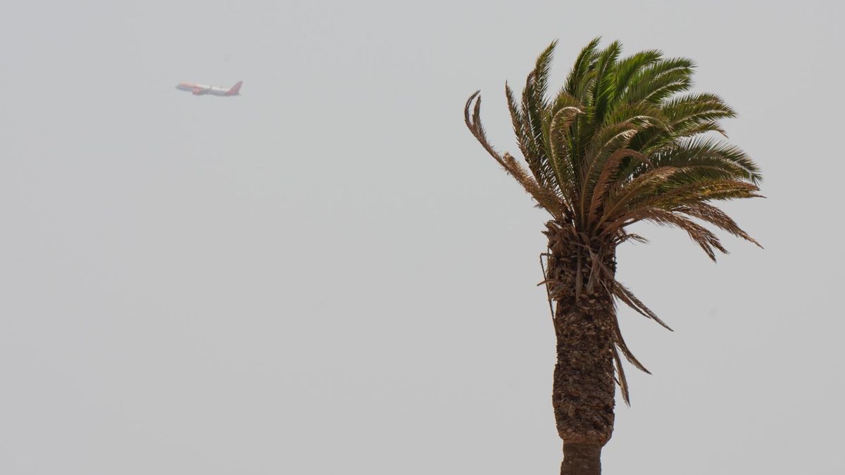 La Aemet anuncia un descenso de las temperaturas este jueves en Canarias con viento del nordeste