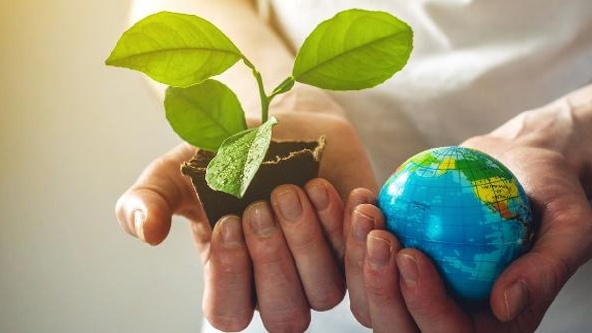 Día Mundial del Medio Ambiente: ¿por qué se celebra el 5 de junio?