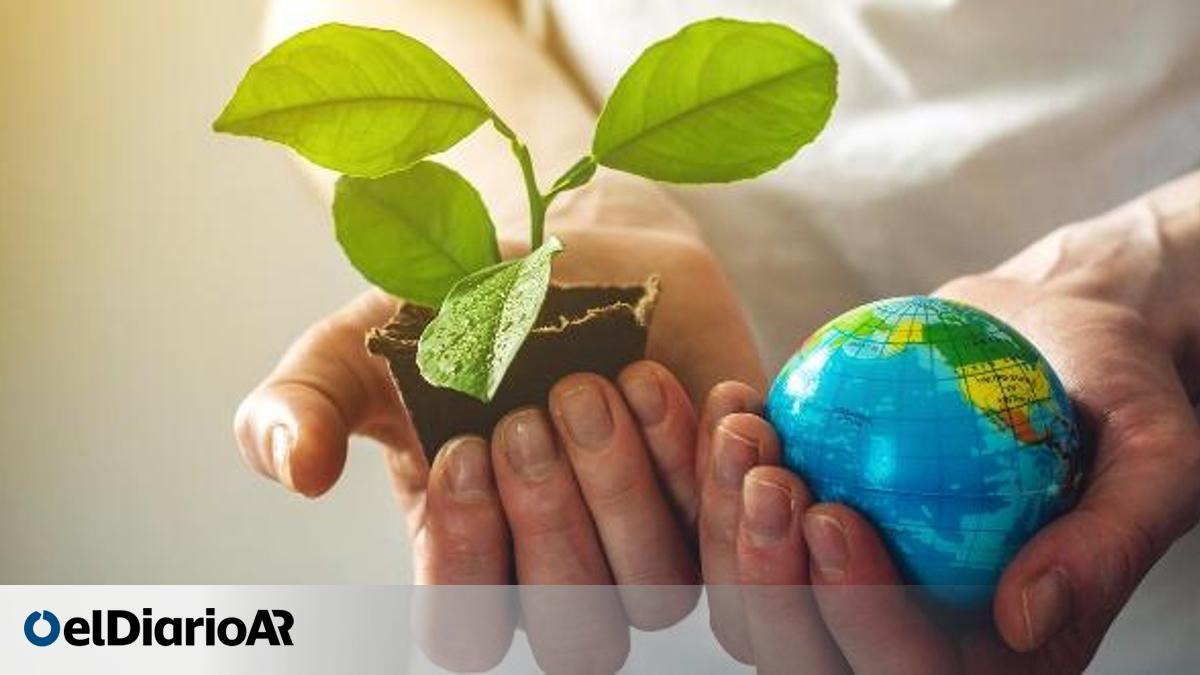 Efemérides: Día Mundial del Medio Ambiente: ¿por qué se celebra el 5 de ...