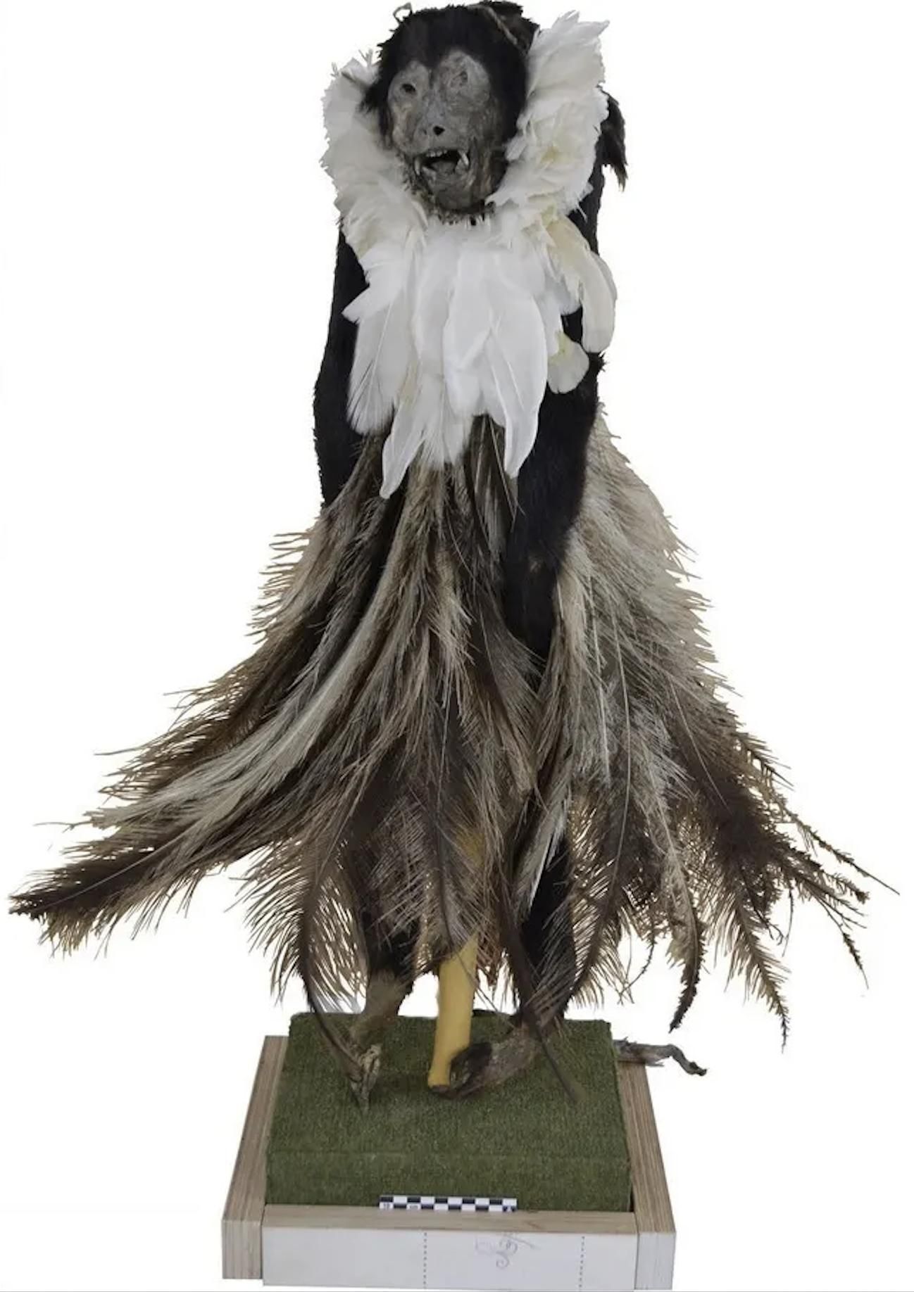 Mono aullador negro y dorado adornado con plumas de ñandú y garza, procedente del Gran Chaco, ca. siglos XV-XVII