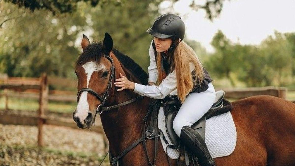 Así se viste un campeón: el oficio artesano detrás de los caballos de SICAB