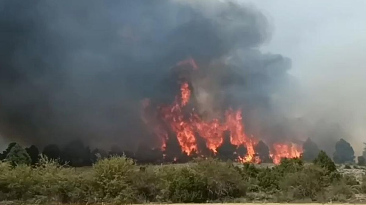 Se declara un incendio forestal en El Recuenco, en Guadalajara, que obliga a evacuar el municipio