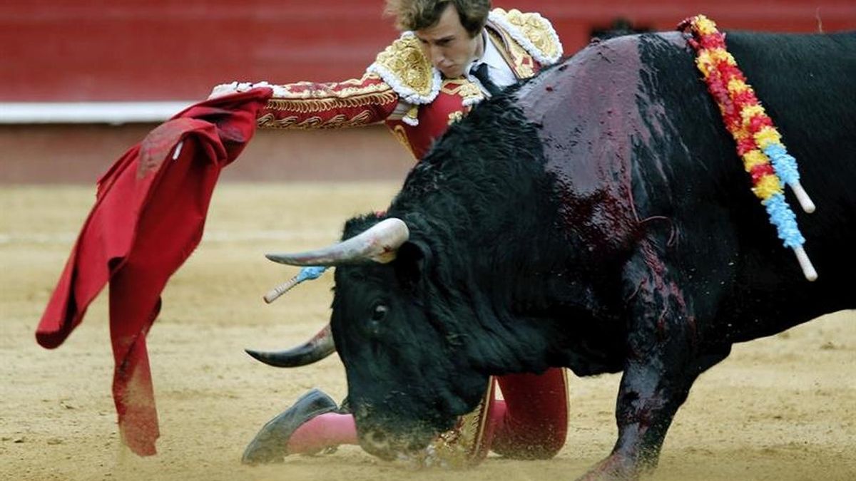 Román: Me caracteriza la entrega, pero en Madrid busco además bordar el toreo