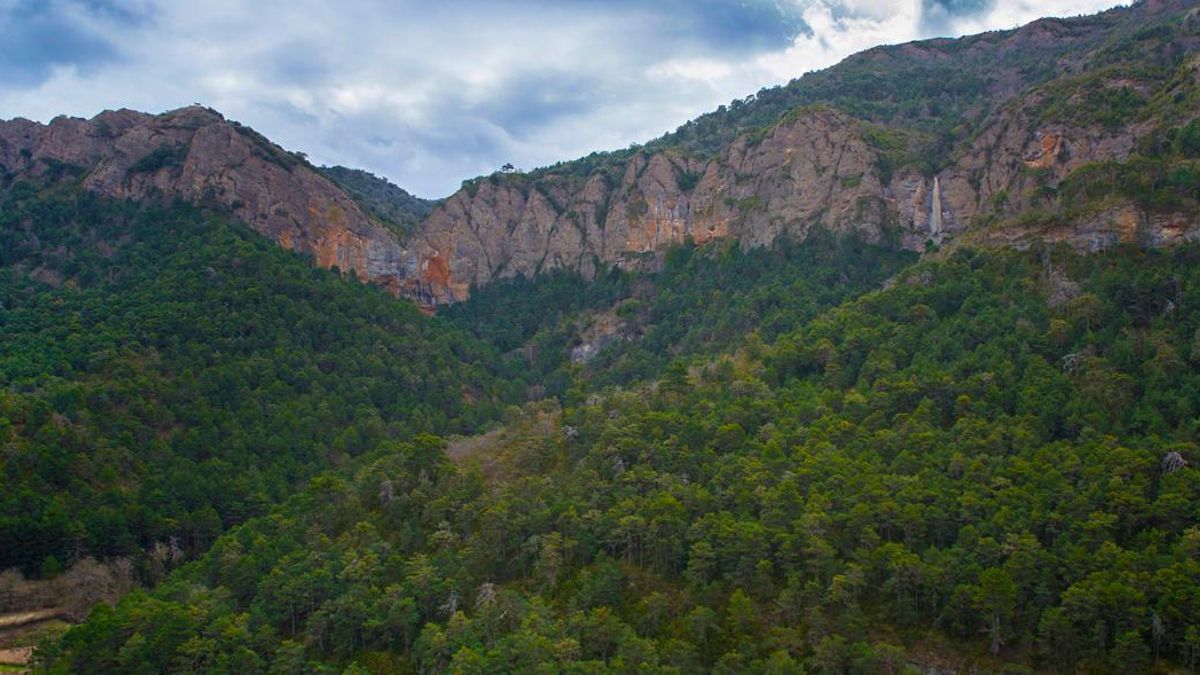 Paisaje Protegido de San Juan de la Peña y Monte Oroel