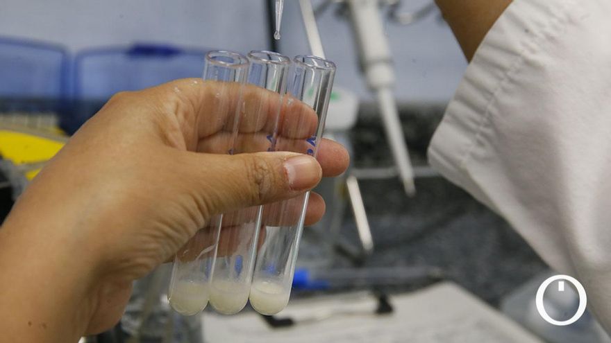 Un estudio busca en Córdoba a madres que donen su leche materna para hallar indicios de cáncer de mama posparto