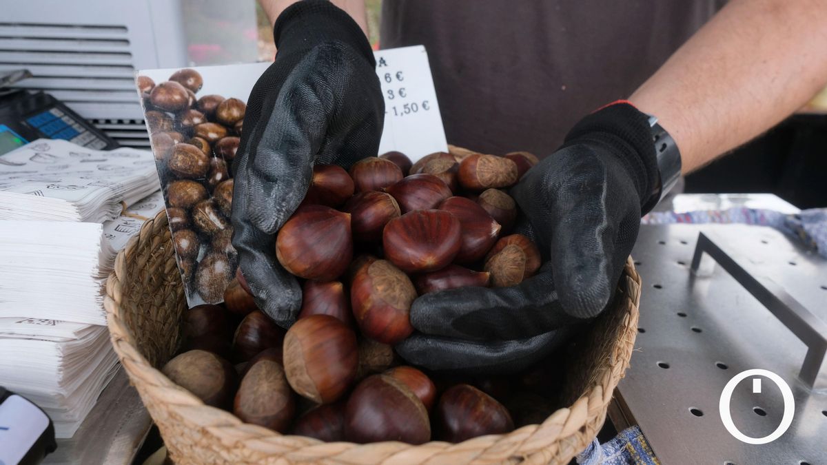 Los puestos de castañas encaran la temporada en Córdoba con un mínimo histórico
