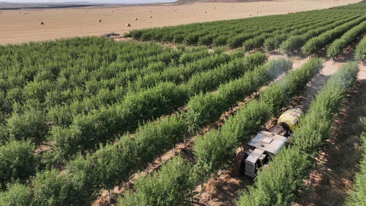Tractor eléctrico autónomo en una finca de olivar intensivo.