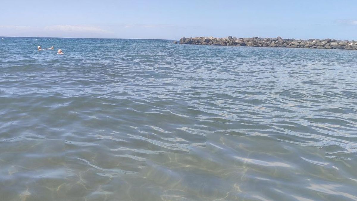 Playa de Trota. Google Maps.