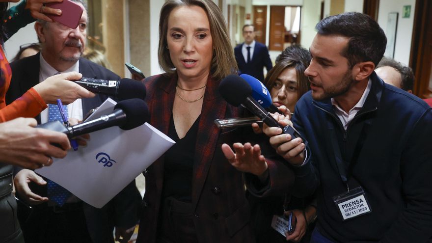 La portavoz del PP en el Congreso, Cuca Gamarra realiza declaraciones a la prensa con motivo de su asistencia a la mesa "Academia y Amnistía" de la Jornada "Frente a la amnistía: igualdad, libertad y dignidad", este miércoles en el Congreso. EFE/ Juan Carlos Hidalgo