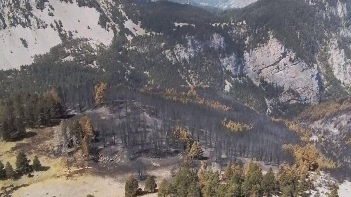 Imagen de superficie quemada por el incendio de Plan