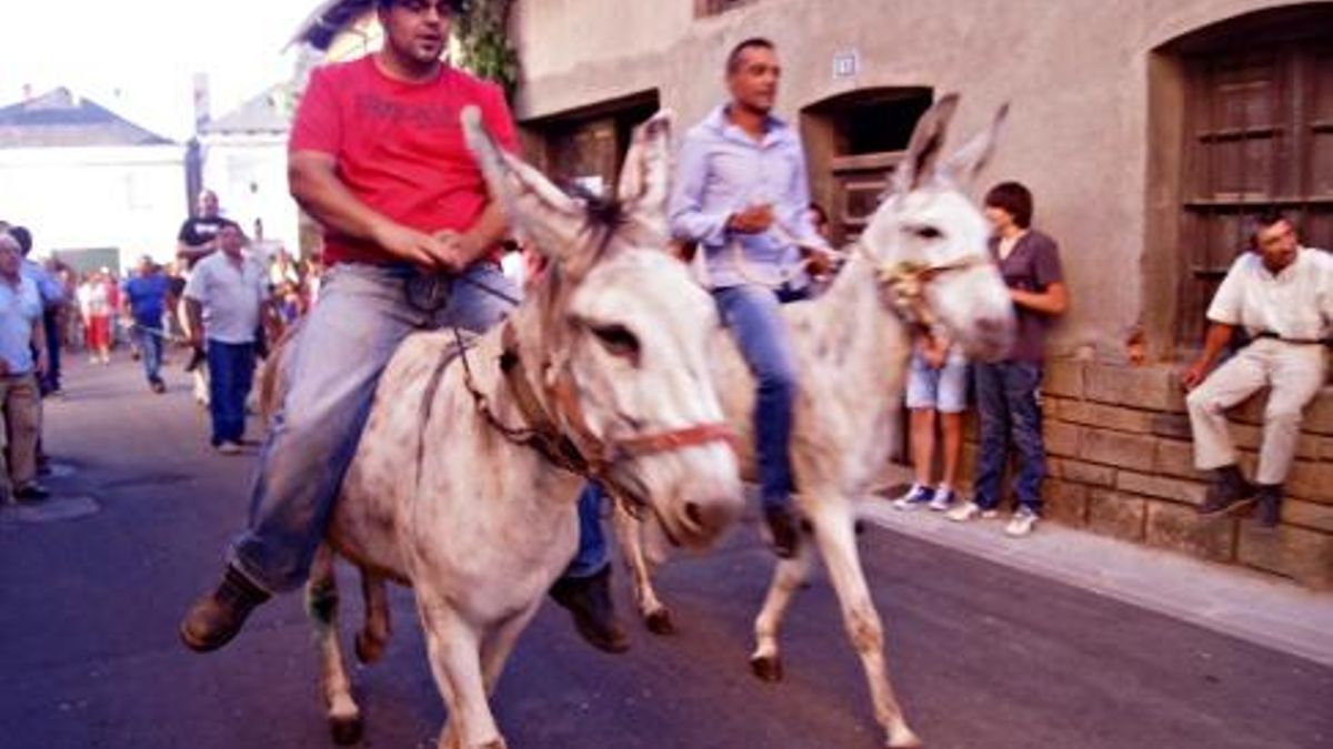 Rutas, teatro, cine, eclipse solar y la tradicional carrera de burros: así será el Verano Cultural 2026 de Noceda