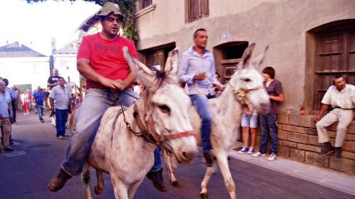 Rutas, teatro, cine, eclipse solar y la tradicional carrera de burros: así será el Verano Cultural 2026 de Noceda