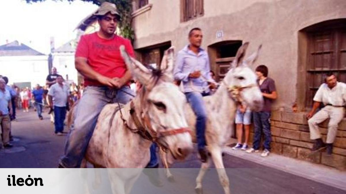 Vuelve la carrera de burros de Noceda del Bierzo