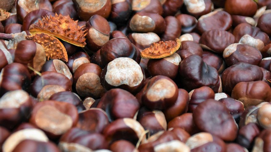 Asadas, en crema o salteadas: cuatro recetas para disfrutar de las castañas durante todo el otoño