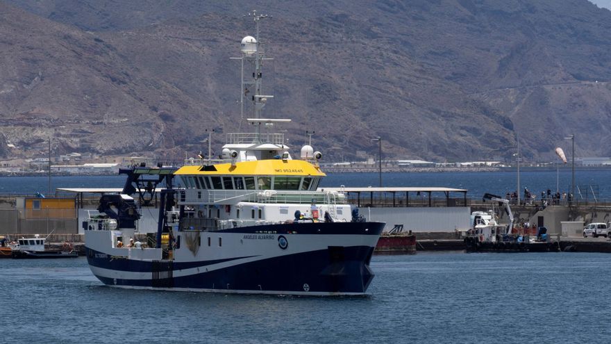 El buque del Instituto Español de Oceanografía Ángeles Alvariño, este lunes en el puerto de la capital tinerfeña