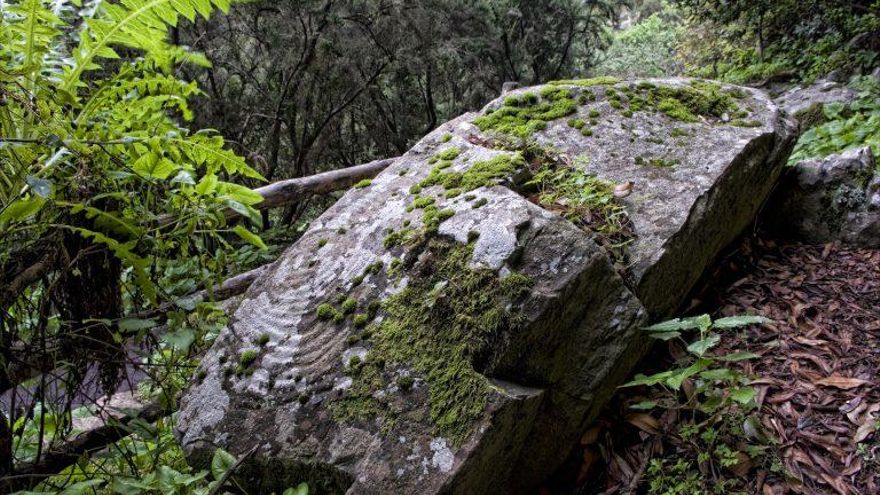 Grabados rupestres de la Zarza y la Zarcita