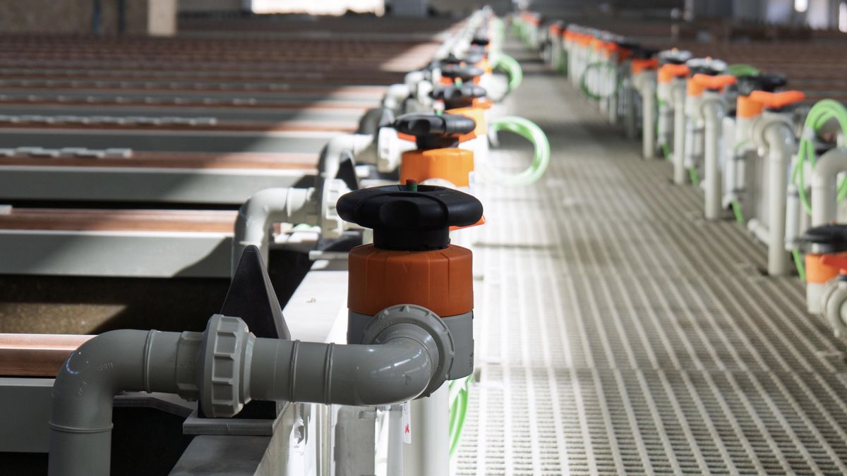 Instalaciones de la fábrica de Cunext.