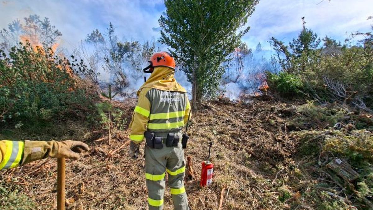 Los entrenamientos se han realizado en febrero y marzo