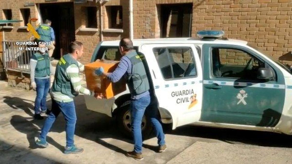 La Guardia Civil en una imagen de la operación 'Coronafarma', en Ávila.
