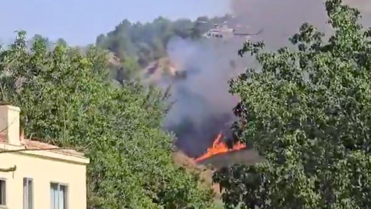 Bomberos forestales en un incendio en Alberite