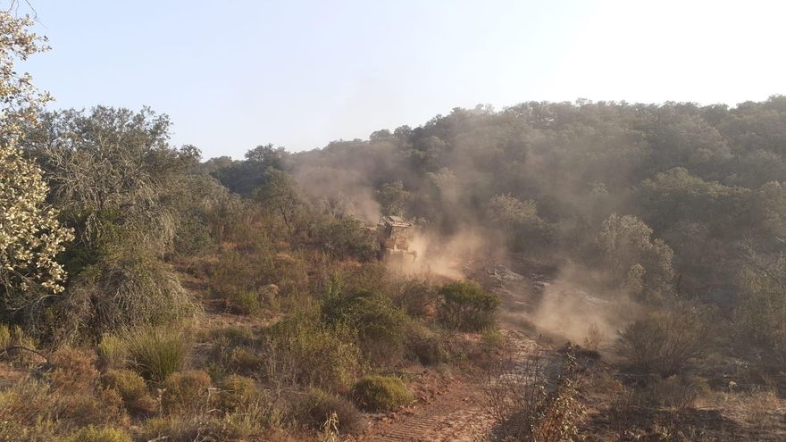 Incendio ya estabilizado en Los lagos del Serrano, en el término sevillano de El Ronquillo.