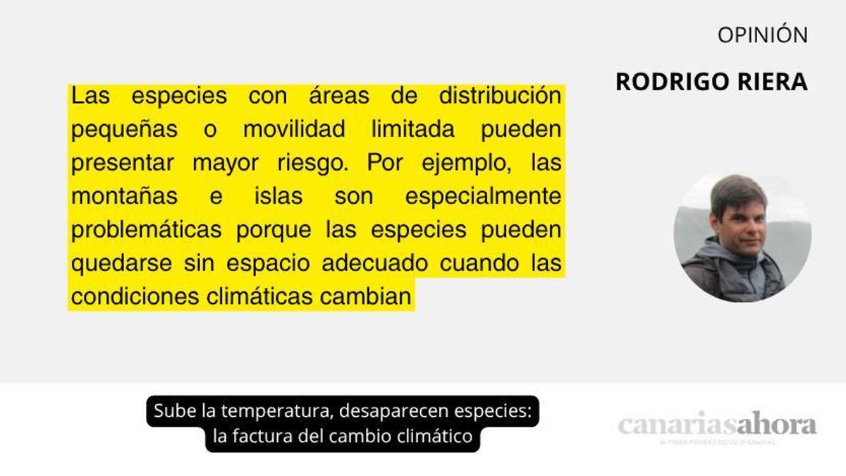 Sube la temperatura, desaparecen especies: la factura del cambio climático