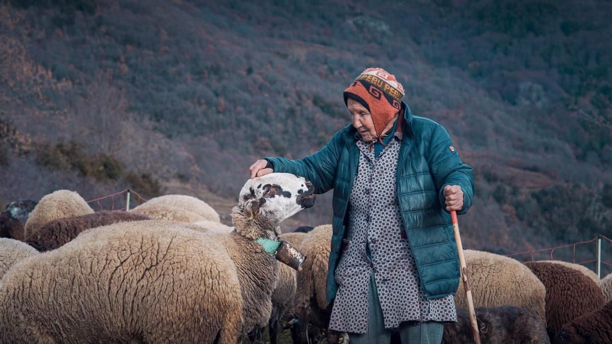 Muere Marina Vilalta, la pastora de 99 años que nunca dejó de subir a la montaña con sus ovejas